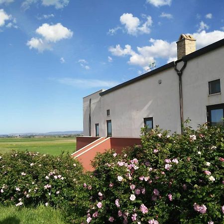 Masseria Agriturismo Moschella Posta Piana Kültér fotó