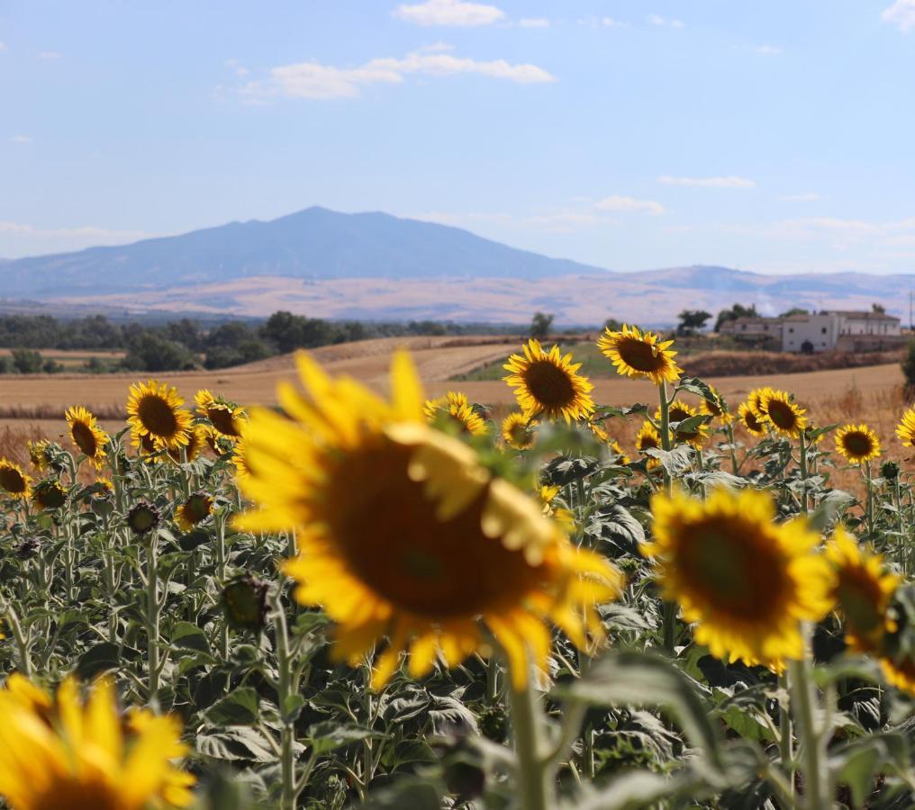 Masseria Agriturismo Moschella Posta Piana Kültér fotó