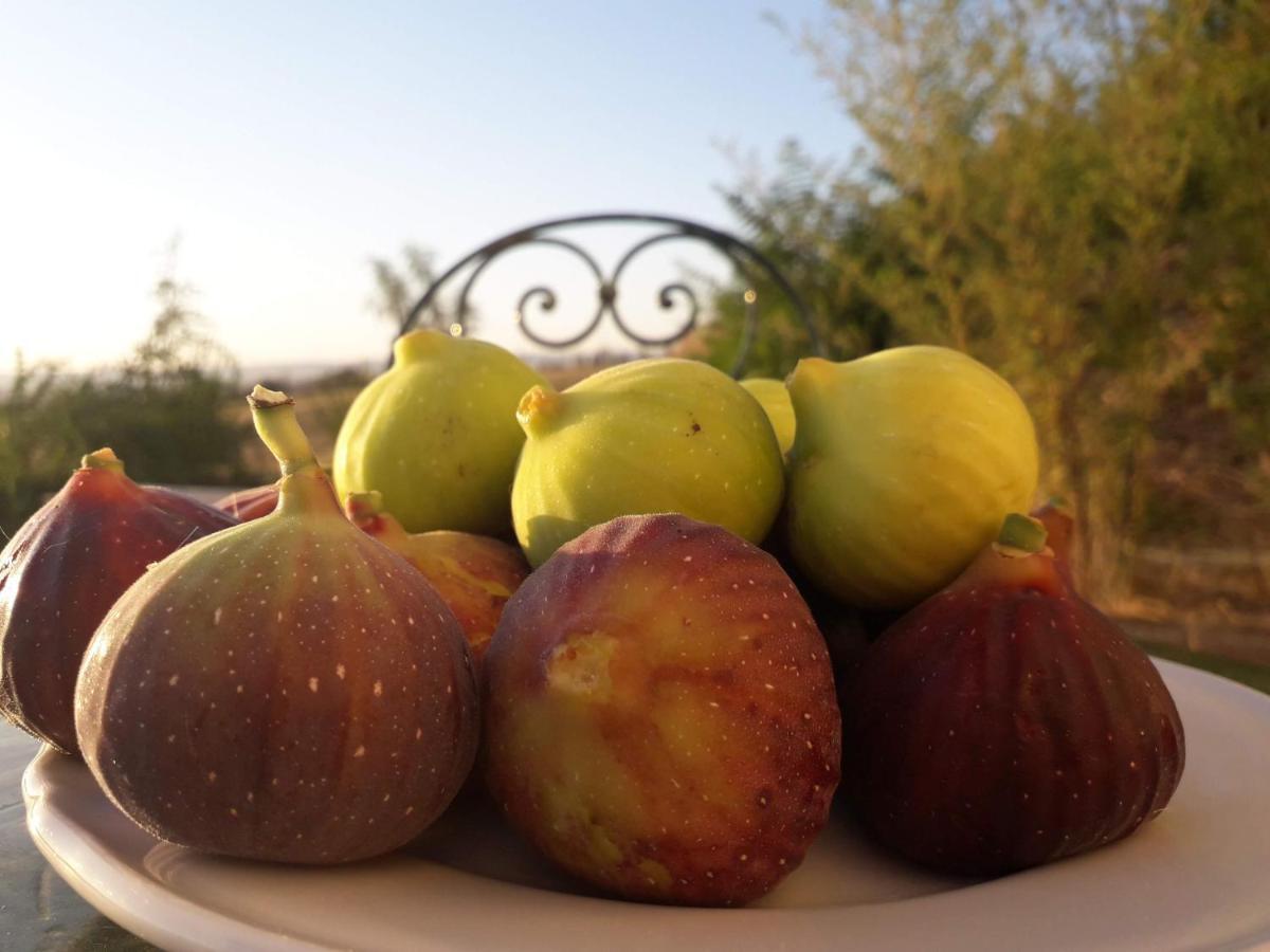 Masseria Agriturismo Moschella Posta Piana Kültér fotó